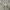Baggy jeans carpenter double knee camo fit shinne photo 6