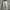Ballon jeans gray wash  photo 2