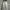 Ballon Jeans Gray Wash 