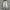 Ballon jeans gray wash  photo 1