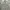 Ballon jeans gray wash  photo 6