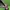Adidas Gerd Muller Lux Vintage photo 6