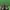Adidas Gerd Muller Lux Vintage photo 4