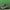 Adidas Gerd Muller Lux Vintage photo 3