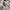 Biker Windbreaker Pria white photo 3