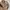 Vintage Leather jacket Pria tan photo 3