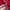 Streetwear Sportswear Sweater Pria multicolor photo 6