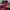 Streetwear Sportswear Sweater Pria multicolor photo 3
