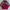 Streetwear Sportswear Sweater Pria multicolor photo 1