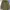 Trim Maison Gilfy parka photo 3