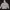 HOODIE ADIDAS LA PALM FZ HOOD photo 1