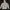 HOODIE ADIDAS LA PALM FZ HOOD