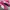 Puma Casual Sneakers Wanita white pink photo 2