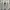Adidas Sportswear Sneakers Pria black photo 8