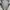 Adidas Sportswear Sneakers Pria black photo 5