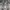Adidas Sportswear Sneakers Pria white black photo 3