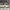 Adidas Sportswear Sneakers Pria white black photo 7