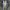 Adidas Sportswear Sneakers Pria white black photo 5