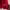 Gucci Luxury Sweater Pria red photo 3