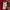 Gucci Luxury Sweater Pria red photo 7