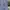 Streetwear Biker Fleece Pria gray photo 3