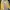 Streetwear Biker Bomber jacket Pria khaki photo 3