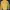 Streetwear Biker Bomber jacket Pria khaki photo 2
