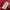 Nike jordan puffer bomber jacket photo 8