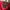 Nike jordan puffer bomber jacket photo 6