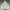 Hoodie essentials fear of god photo 5