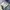 Spellbound Denim Japan Distress Jeans photo 8