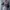 Crop top vintage abstract top korean style  photo 1