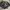 Crop top vintage abstract top korean style  photo 3
