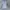 Futurist Midi dress Wanita multicolor photo 1