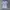 Futurist Midi dress Wanita multicolor photo 4