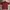 Vintage Streetwear Casual shirt Pria burgundy photo 1