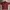 Vintage Streetwear Casual Shirt Pria Burgundy