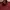 Vintage Streetwear Casual Shirt Pria Burgundy