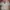 Vintage Streetwear Casual Shirt Pria Multicolor
