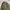 Italian Army Field Jacket photo 2