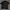 Nike Sportswear Casual Polo shirt Pria black photo 1