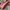 Timberland Rose Boots photo 4