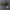 Bucket Hat Realtree Camo photo 6