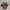 Dr. Martens 1461 Red Cherry Yellow Stitch Smooth Leather photo 2