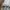 Converse CT 70s Mason Grey photo 6