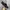 Vans Authentic Classic Full Black Triple Black photo 2