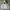 Vintage Streetwear Hoody Pria gray photo 1