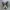 Comme des Garcons PLAY x Converse Chuck Taylor All Star 70 H photo 2