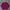 Vintage Streetwear Sweatshirt Pria burgundy photo 3