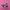 Puma Speedcat Ballet Black Pink photo 1